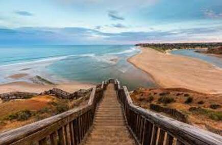 Top Hospitality & Gastronomy in South Australia