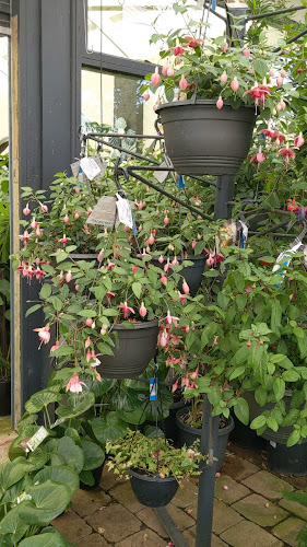 Comentarii opinii despre Van Loon’s Cafe