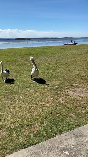 131 The Entrance Rd, The Entrance NSW 2261