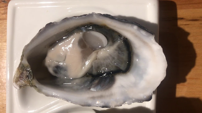 Louca's Restaurant - Hospitality and gastronomy