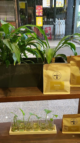 Atlas Cafe - Hospitality and gastronomy