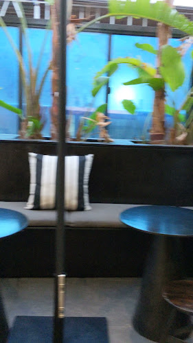 Opinii despre Electra în Adelaide - Hospitality and gastronomy