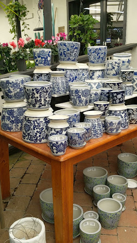 Opinii despre Van Loon’s Cafe în Melbourne - Hospitality and gastronomy