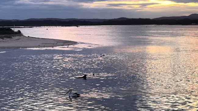 Si Señorita Forster - Forster