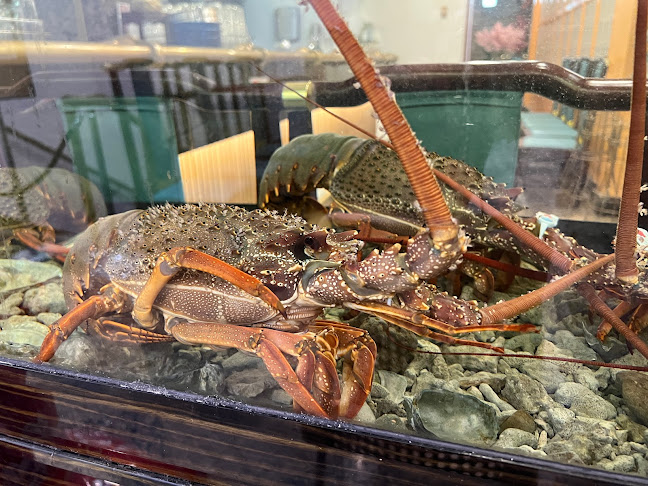 Comentarii opinii despre Peking Garden Chinese Restaurant