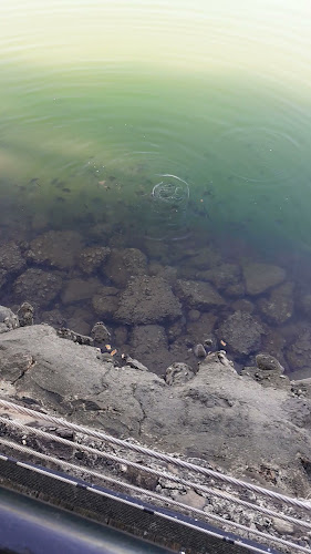 La Promenade Cafe - Hospitality and gastronomy