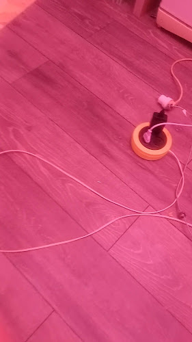 Maca's Takeaway - Broome