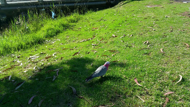 Riverbank Cafe - Melbourne