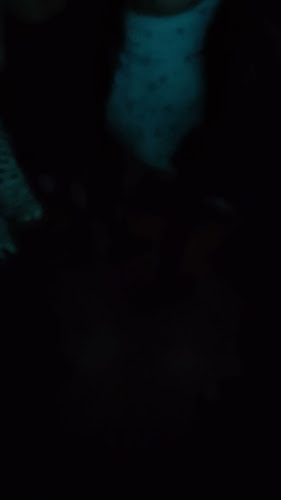 Opinii despre CQ Bar în Melbourne - Hospitality and gastronomy