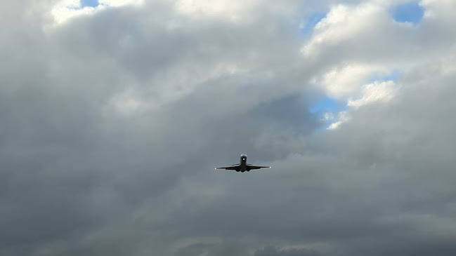 Airport Ice Cream - Hospitality and gastronomy