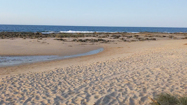 One on La Balsa - Buddina