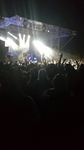 Harvey Road Tavern - Hospitality and gastronomy