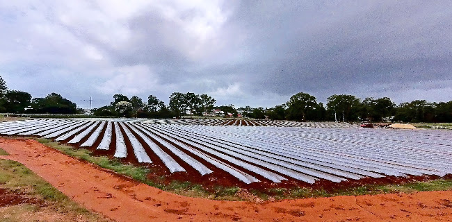 Wellington Point Market Hall - Brisbane