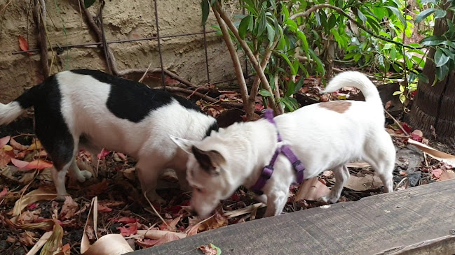 Comentarii opinii despre Town Hall Hotel