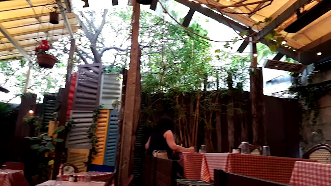 Opinii despre Vino e Cucina Italian Restaurant Sydney în Paddington - Hospitality and gastronomy