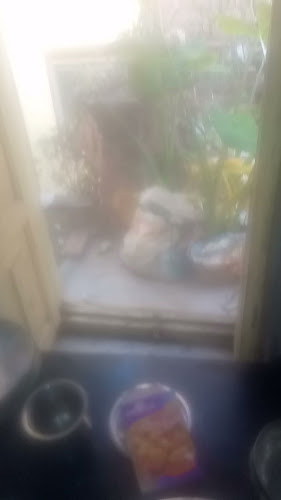 Frisco Hotel - Hospitality and gastronomy