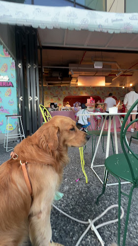 Goodtimes Gelateria - Brisbane City