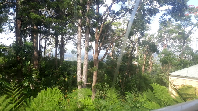 Poets Cafe - Hospitality and gastronomy