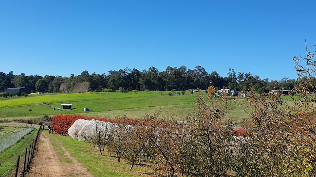 4 Raeburn Rd, Roleystone WA 6111