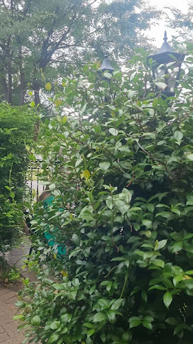 Opinii despre The Bell House Tamworth în Tamworth - Hospitality and gastronomy