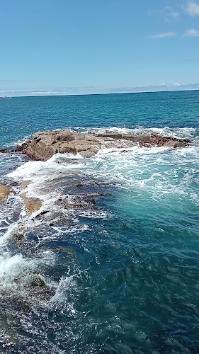 Ice Creamery & Co. - Hospitality and gastronomy