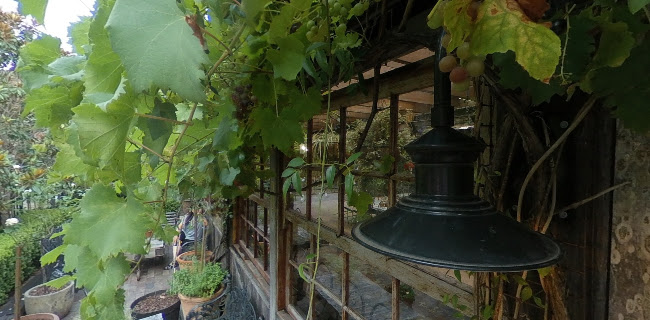 The Potting Shed at The Grounds - Hospitality and gastronomy