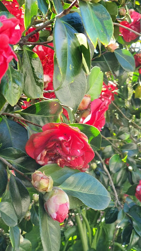 Hickory's Restaurant & Bar