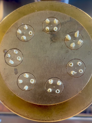 Opinii despre Il Toscano Pasta bar în Terrigal - Hospitality and gastronomy