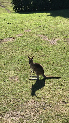 Trial Bay Kiosk - South West Rocks