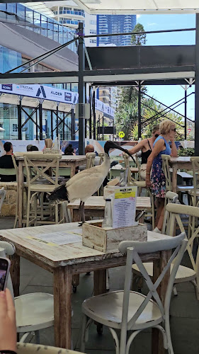 The Surfers Paradise Beach Cafe - Surfers Paradise