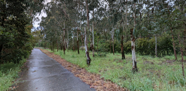 Carriage Cafe Seville