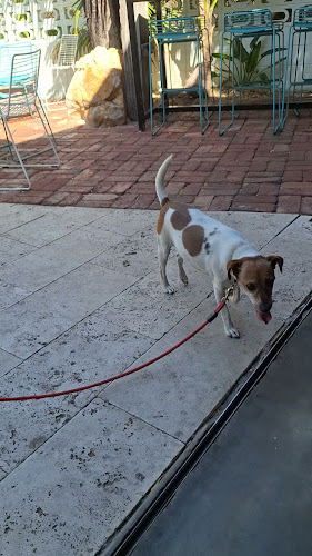 Bungalow Neighbourhood Social - Hospitality and gastronomy