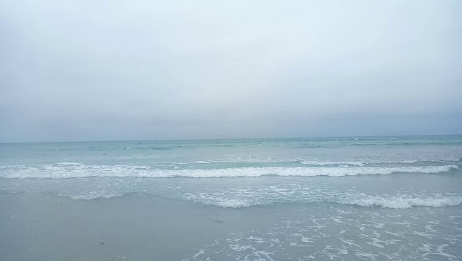 Opinii despre East Beach Fish and Chips în Port Fairy - Hospitality and gastronomy