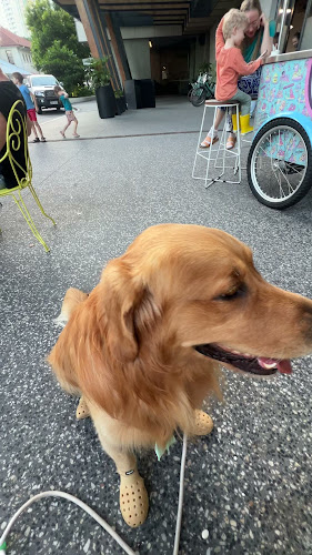 Comentarii opinii despre Goodtimes Gelateria