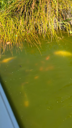 Cafe Injoy - Nicholls