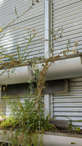 Café Troppo - Hospitality and gastronomy