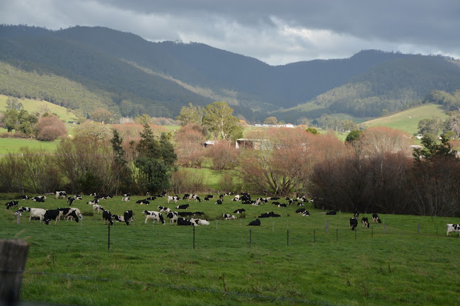 Pub in the Paddock - Pyengana