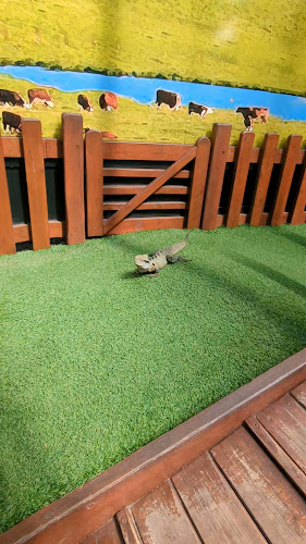 24 Gaskell St, Eight Mile Plains QLD 4113