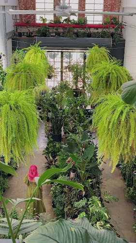 The Green House Ballarat