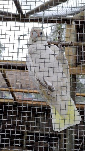 103 Wyee Rd, Wyee NSW 2259