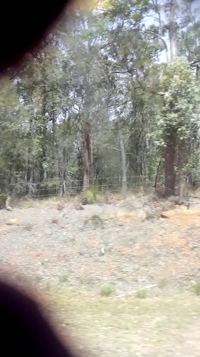 The Prince Cellars - Fortitude Valley