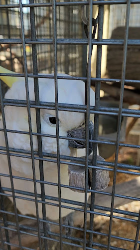 Main N Rd, Stone Hut SA 5480