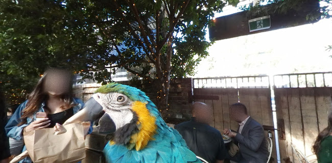 The Potting Shed at The Grounds - Alexandria