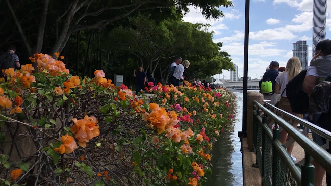 Opinii despre champ kitchen & bar în South Brisbane - Hospitality and gastronomy