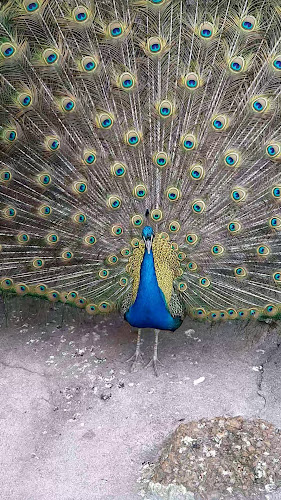 The Old Marron Farm - Perth