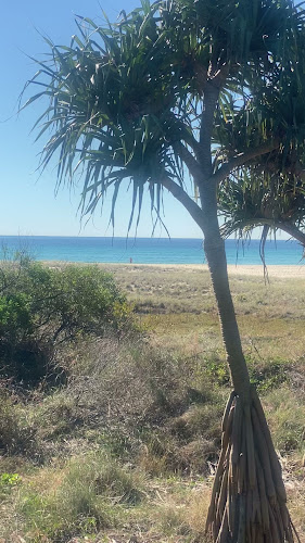 Bruns Bakery - Hospitality and gastronomy