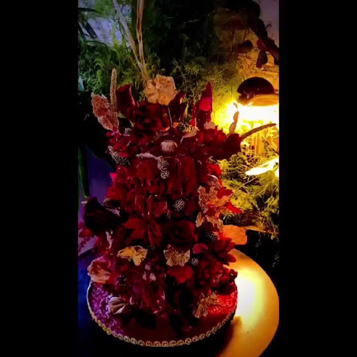 Comentarii opinii despre Blissful Inspirations Cakes