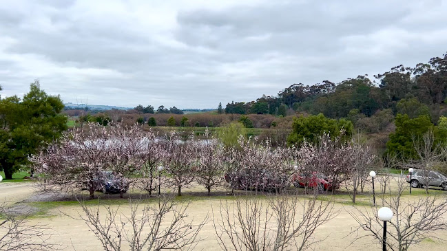 Apricus Launceston - Hospitality and gastronomy