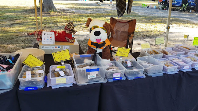 Opinii despre Koala Weekend Markets în Urangan - Hospitality and gastronomy