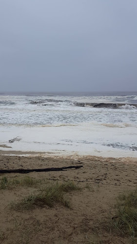 Opinii despre Bangalay Dining în Sydney - Hospitality and gastronomy